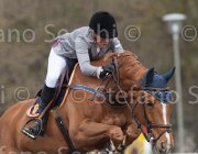 Hamood Eternal Flame TosTour 2013- S4 6621 : Arezzo Equestrian Centre, Eternal Flame, Hamood Olivia, Toscana Tour 2013, foto di Stefano Secchi ©